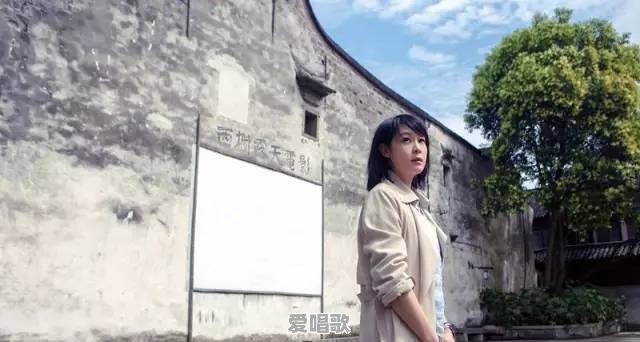 你如何评价刘若英《后来》这首歌 - 爱唱歌