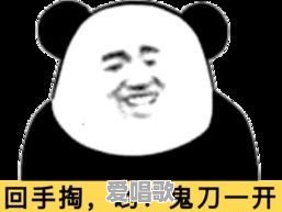 有没有哪些当时火到不行现在压根没人记得的梗或段子 - 爱唱歌