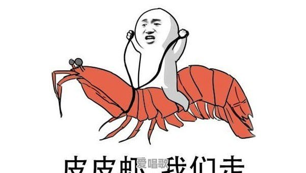 有没有哪些当时火到不行现在压根没人记得的梗或段子 - 爱唱歌