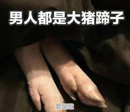 有没有哪些当时火到不行现在压根没人记得的梗或段子 - 爱唱歌