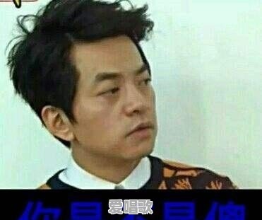 为什么说日本音乐养活了整个亚洲 为什么说日本音乐养活了整个亚洲 - 爱唱歌