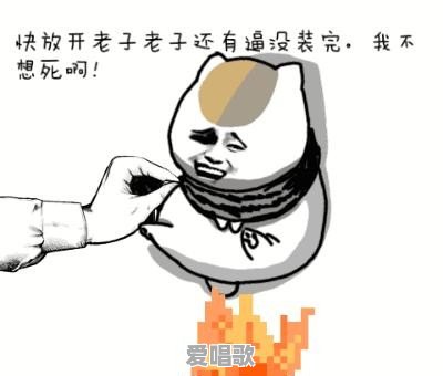 你都存了哪些“沙雕”表情包 你都存了哪些“沙雕”表情包 - 爱唱歌