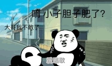你都存了哪些“沙雕”表情包 你都存了哪些“沙雕”表情包 - 爱唱歌