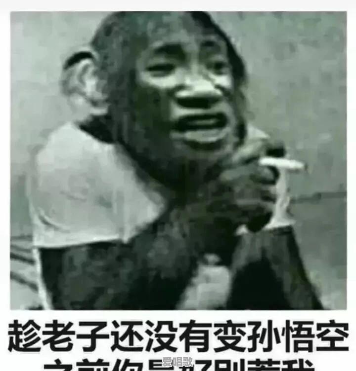 你都存了哪些“沙雕”表情包 你都存了哪些“沙雕”表情包 - 爱唱歌