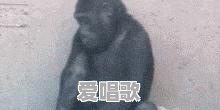 你都存了哪些“沙雕”表情包 你都存了哪些“沙雕”表情包 - 爱唱歌
