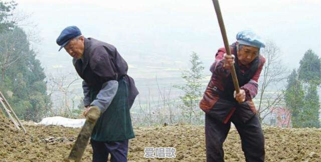 为何农村八十岁的大爷老太喜欢种地城里的中年人却喜欢嗨广场舞 为何农村八十岁的大爷老太喜欢种地城里的中年人却喜欢嗨广场舞 - 爱唱歌