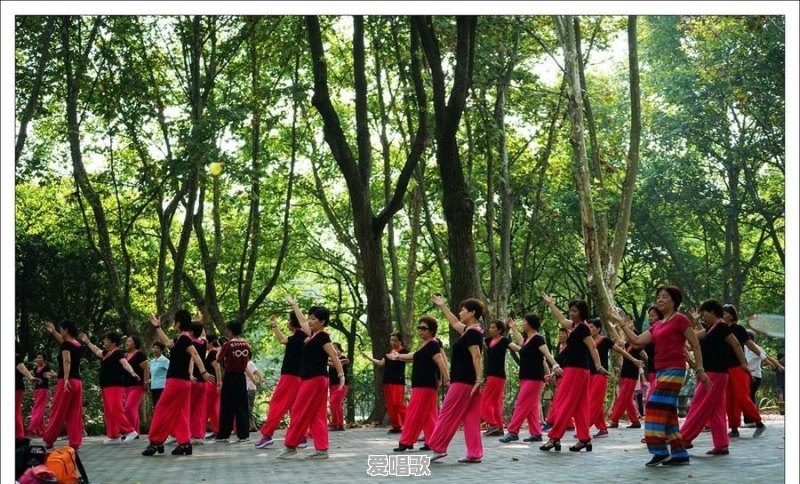 为何农村八十岁的大爷老太喜欢种地城里的中年人却喜欢嗨广场舞 为何农村八十岁的大爷老太喜欢种地城里的中年人却喜欢嗨广场舞 - 爱唱歌
