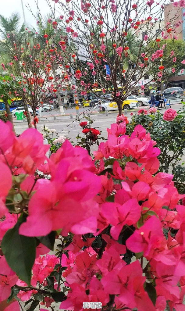 有哪些最爱的照片,记录下你旅行中的美好 有哪些最爱的照片,记录下你旅行中的美好 - 爱唱歌