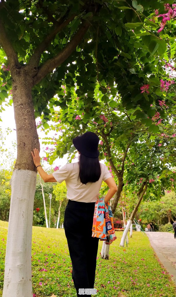 有哪些最爱的照片,记录下你旅行中的美好 有哪些最爱的照片,记录下你旅行中的美好 - 爱唱歌