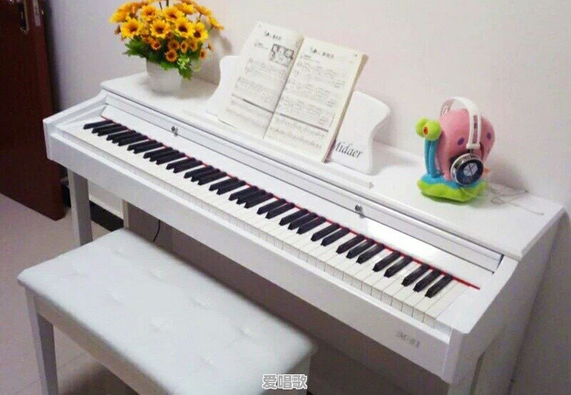 求推荐适合初学者的电钢琴 - 爱唱歌