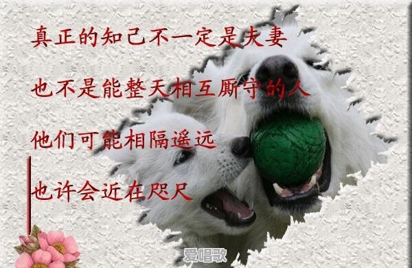 喜欢上了一个江西抚州的女孩，怎么办 - 爱唱歌