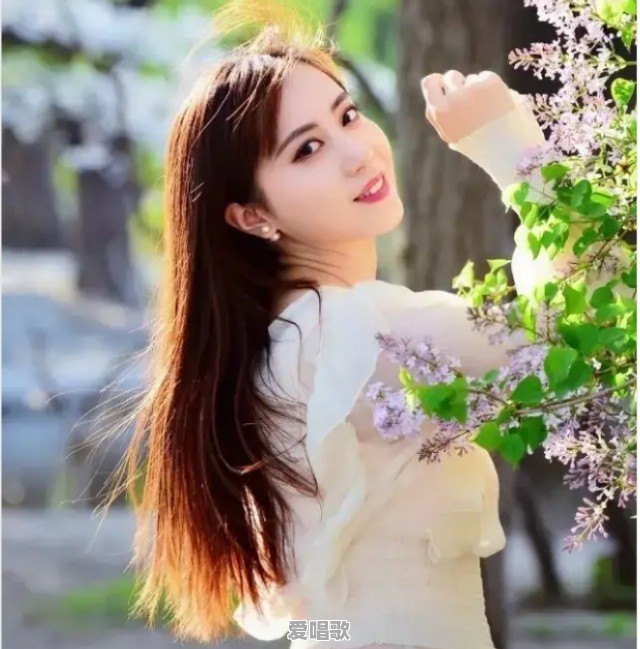 阿姨粤语歌曲 阿姨粤语歌曲 - 爱唱歌