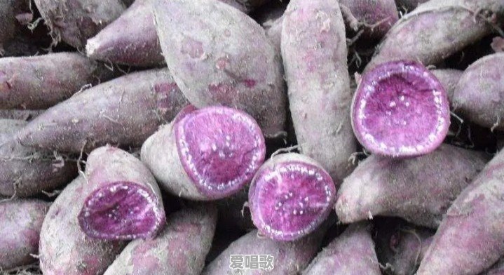 如何看待农村有些年轻人返乡以后,连家乡话也不会说?啥原因呢 如何看待农村有些年轻人返乡以后,连家乡话也不会说?啥原因呢 - 爱唱歌