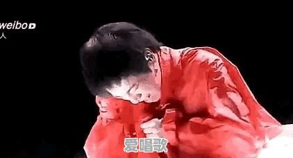 华晨宇唱歌到底属于什么级别，有人说他的歌是歌神级别非常难模仿 - 爱唱歌