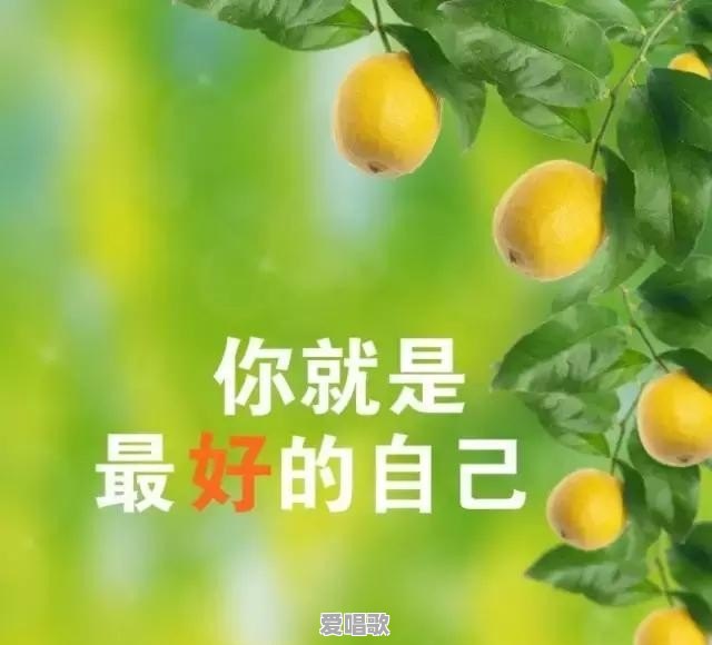 有哪些让你眼前一亮的唯美句子?可以分享一下吗 有哪些让你眼前一亮的唯美句子?可以分享一下吗 - 爱唱歌