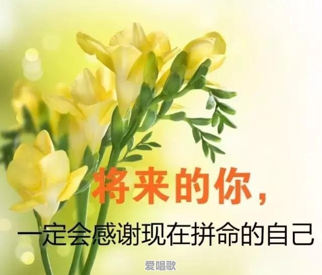 有哪些让你眼前一亮的唯美句子?可以分享一下吗 有哪些让你眼前一亮的唯美句子?可以分享一下吗 - 爱唱歌