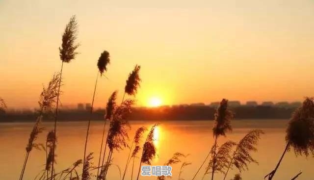 最极致的暧昧是什么样的 最极致的暧昧是什么样的 - 爱唱歌
