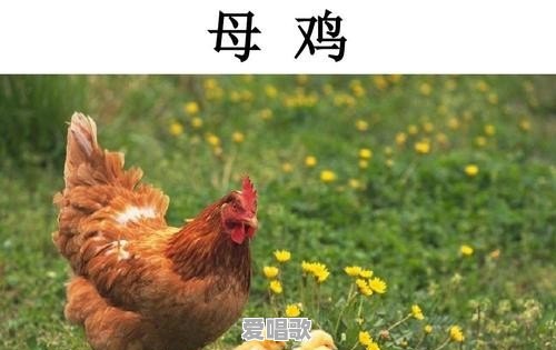 “妈妈～”这一声呼唤的含义，作为子女的我们真的理解吗 - 爱唱歌