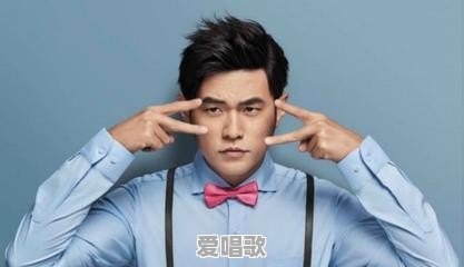 你觉得哪些歌手是真正的有才华的歌手 - 爱唱歌