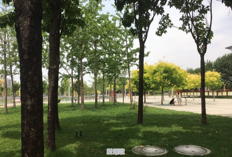 菏泽与济宁以后谁发展的更好 菏泽与济宁以后谁发展的更好 - 爱唱歌