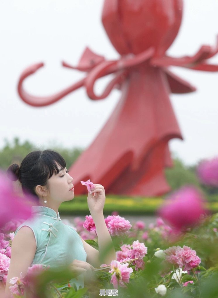 菏泽与济宁以后谁发展的更好 菏泽与济宁以后谁发展的更好 - 爱唱歌