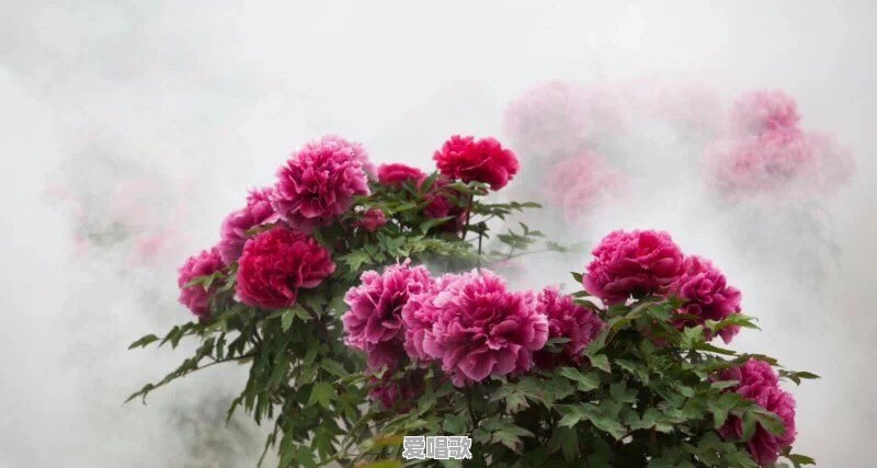 菏泽与济宁以后谁发展的更好 菏泽与济宁以后谁发展的更好 - 爱唱歌