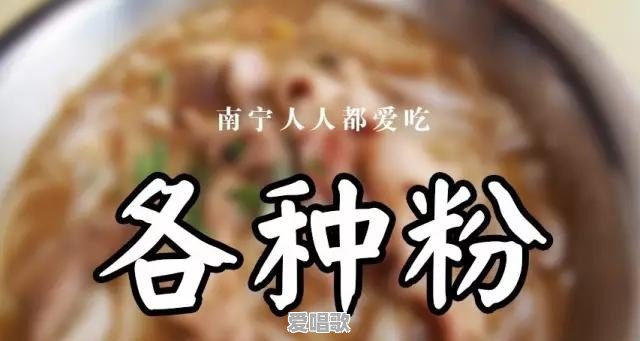 外地朋友来南宁，到底带他们去吃什么好 - 爱唱歌