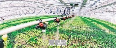 未来的创业方向在哪里 未来的创业方向在哪里 - 爱唱歌