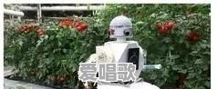 未来的创业方向在哪里 未来的创业方向在哪里 - 爱唱歌