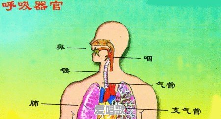 刘欢教你学唱歌技巧 刘欢教你学唱歌技巧 - 爱唱歌