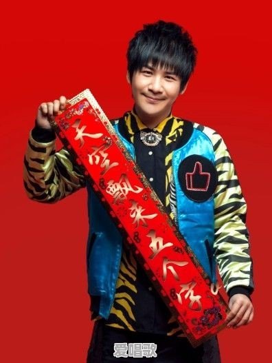 传统艺术和流行歌曲大张伟 传统艺术和流行歌曲大张伟 - 爱唱歌