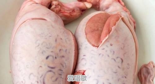 你知道的最恶心的一道菜是什么 你知道的最恶心的一道菜是什么 - 爱唱歌