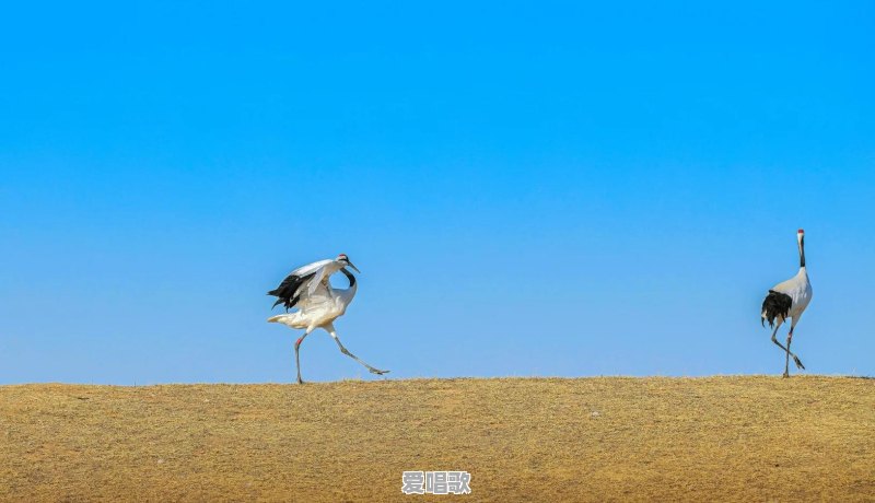 谁拍过蓝天白云照片,敢不敢拿出来晒一晒 谁拍过蓝天白云照片,敢不敢拿出来晒一晒 - 爱唱歌