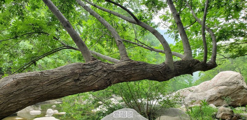 谁拍过蓝天白云照片,敢不敢拿出来晒一晒 谁拍过蓝天白云照片,敢不敢拿出来晒一晒 - 爱唱歌