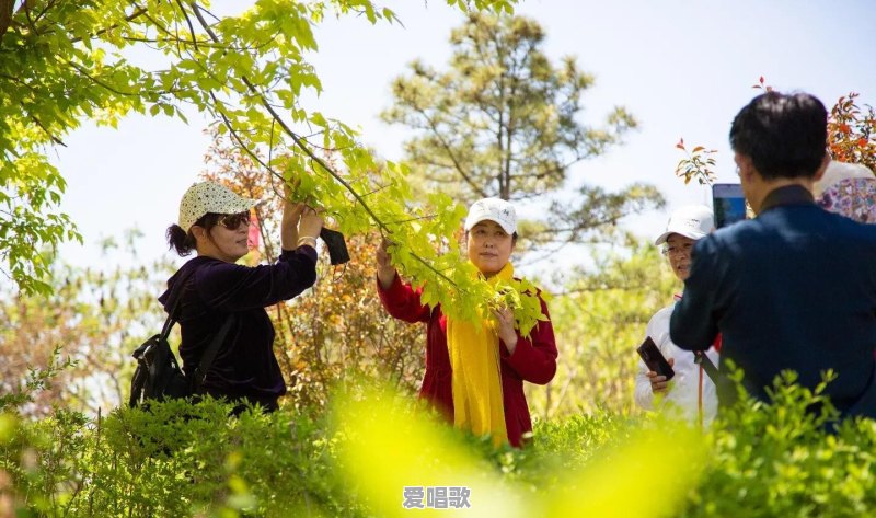 谁拍过蓝天白云照片,敢不敢拿出来晒一晒 谁拍过蓝天白云照片,敢不敢拿出来晒一晒 - 爱唱歌