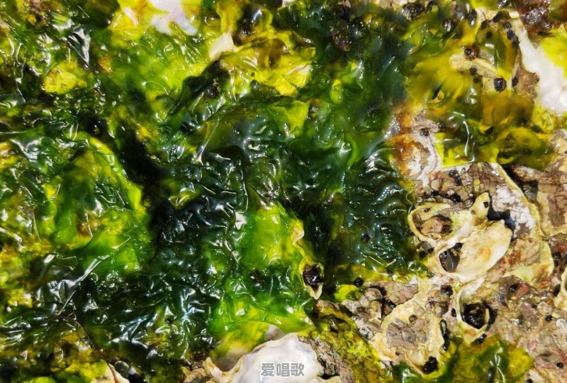谁拍过蓝天白云照片,敢不敢拿出来晒一晒 谁拍过蓝天白云照片,敢不敢拿出来晒一晒 - 爱唱歌