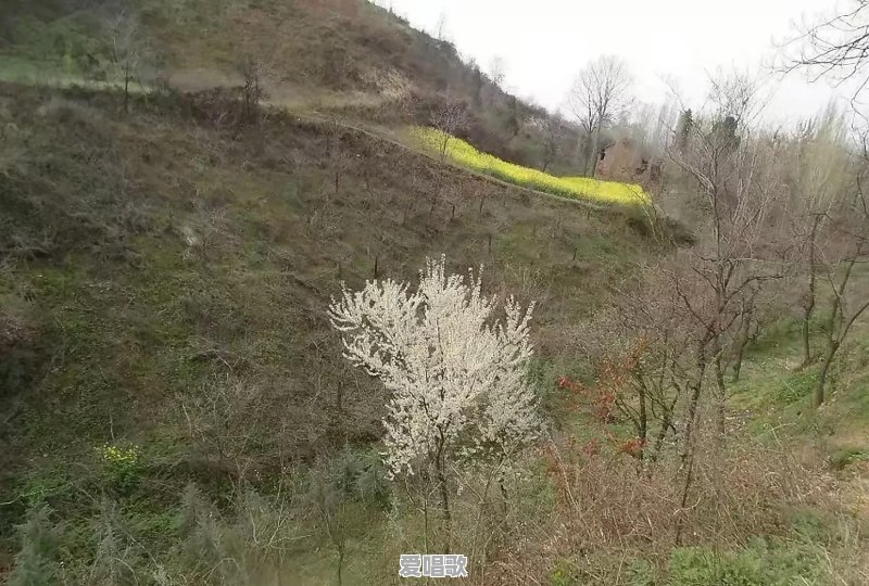 你所知道的景区，有哪些是免费参观的？ - 爱唱歌