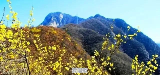 你所知道的景区，有哪些是免费参观的？ - 爱唱歌