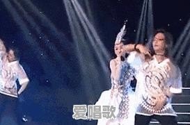 有哪些歌手的“车祸现场”无比尴尬 - 爱唱歌