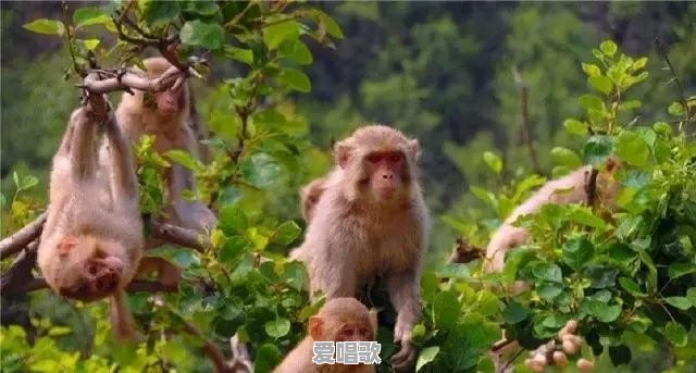 你身边有没有高颜值的长辈,来晒一下 你身边有没有高颜值的长辈,来晒一下 - 爱唱歌