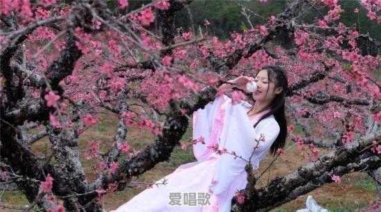 秋词歌词 秋词歌词 - 爱唱歌