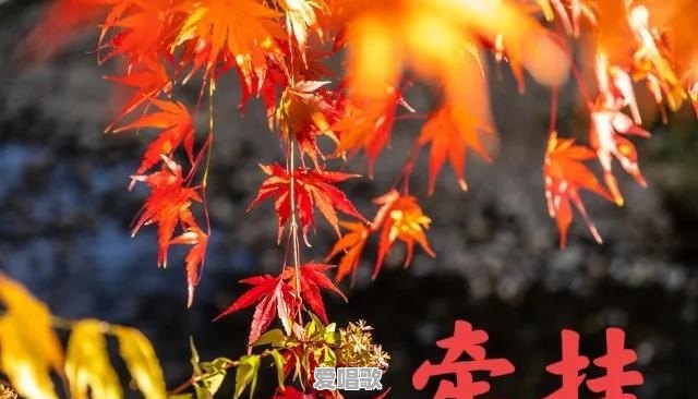 一生有几个让你牵挂的女人 一生有几个让你牵挂的女人 - 爱唱歌