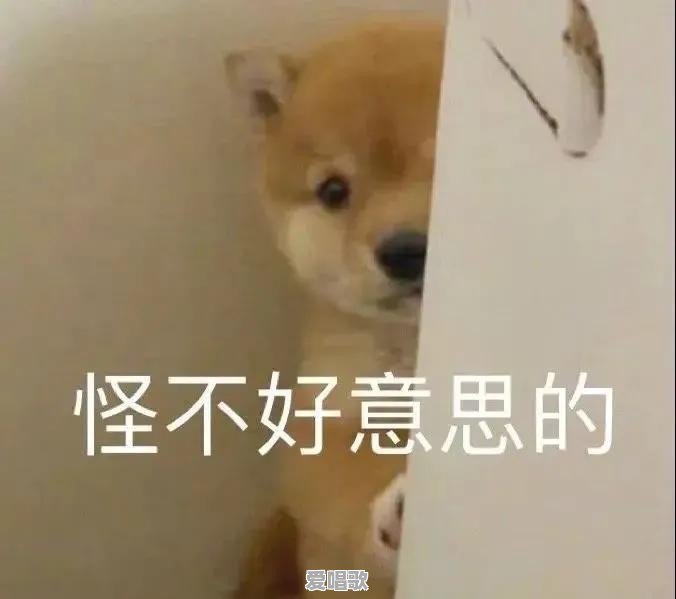 你有哪些骚破天际的表情包 你有哪些骚破天际的表情包 - 爱唱歌