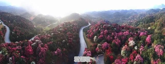 清镇网红歌手大赛 清镇网红歌手大赛 - 爱唱歌