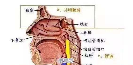 男低音老师上课用麦克,学生能听清楚吗?应该怎么办 男低音老师上课用麦克,学生能听清楚吗?应该怎么办 - 爱唱歌