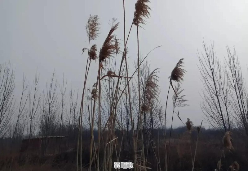 你们做过最不可告人的事情是什么 你们做过最不可告人的事情是什么 - 爱唱歌