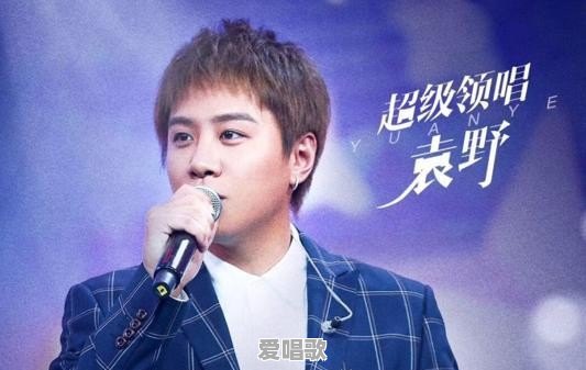 当年浙江卫视很火的《我爱记歌词》的领唱们,现在都在做什么 当年浙江卫视很火的《我爱记歌词》的领唱们,现在都在做什么 - 爱唱歌