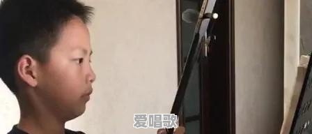 网上二胡老师乱七八糟!这个现象是好事吗 网上二胡老师乱七八糟!这个现象是好事吗 - 爱唱歌