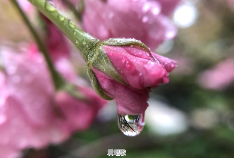 适合两三岁儿童阅读的绘本和其他图书有哪些好的推荐 适合两三岁儿童阅读的绘本和其他图书有哪些好的推荐 - 爱唱歌