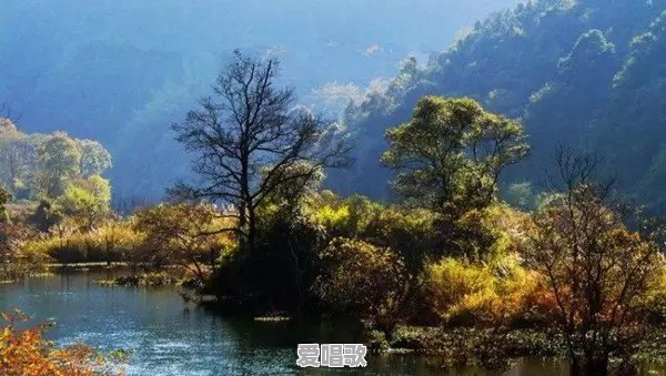 九峰歌手网红 九峰歌手网红 - 爱唱歌